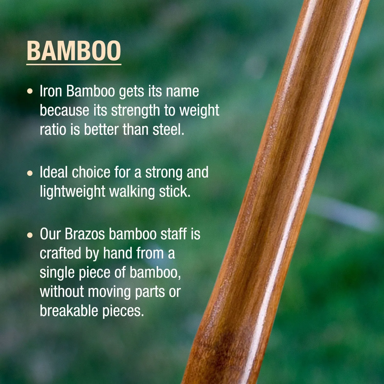 Iron Bamboo Rustic Walking Stick