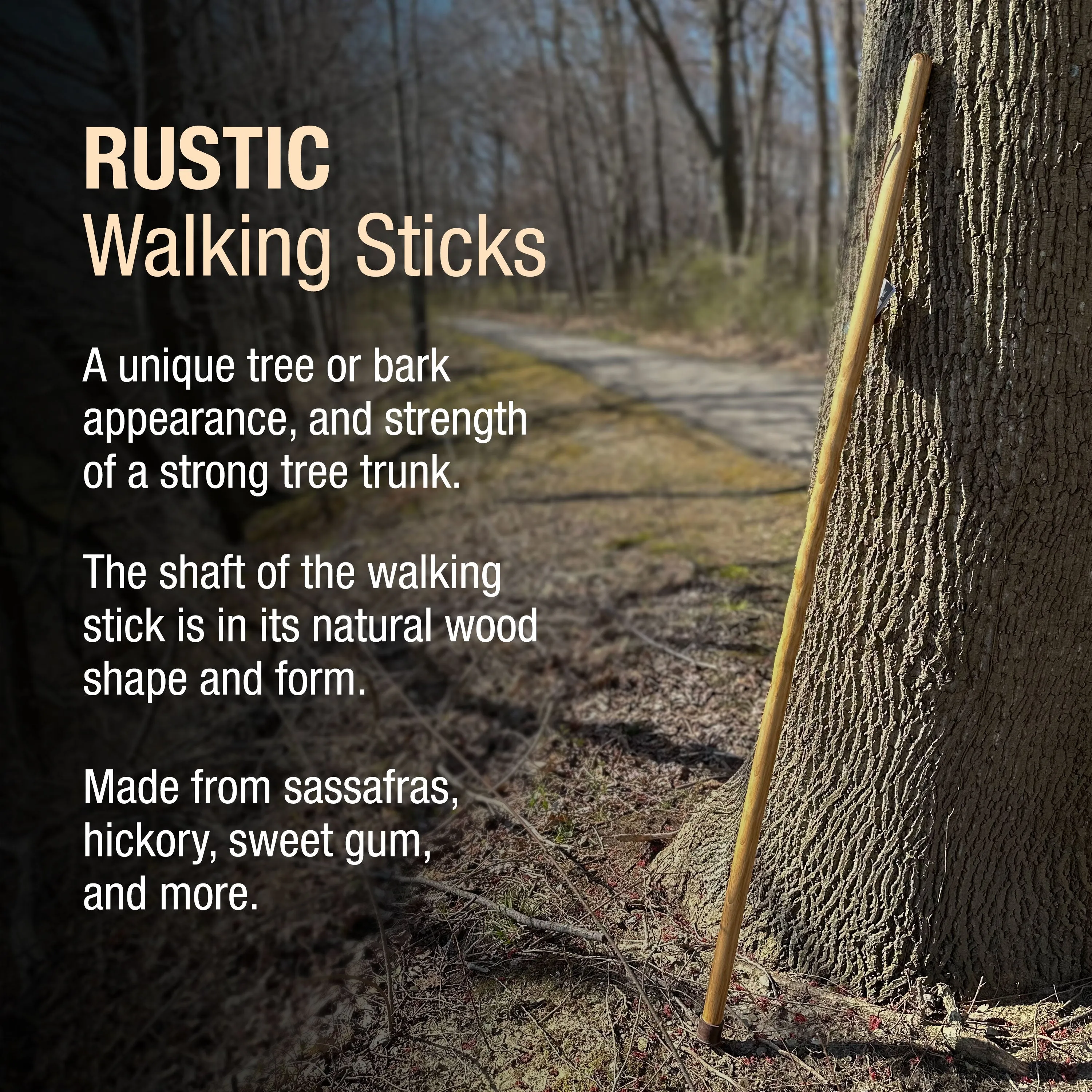 Iron Bamboo Rustic Walking Stick